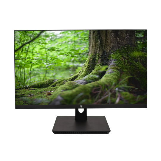V7 23.8-inch 1080P LED Monitor