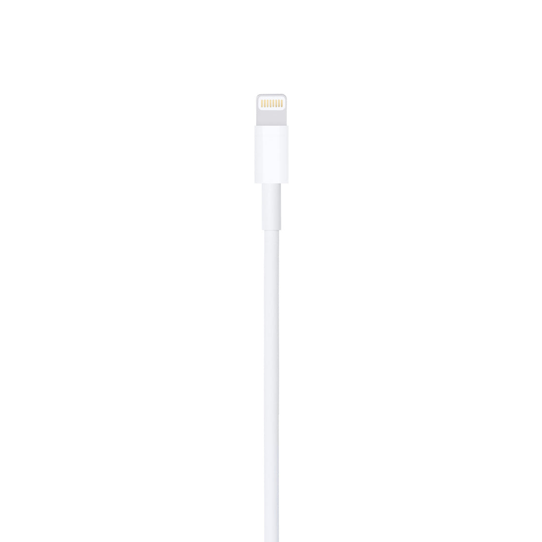 Lightning to USB Cable, 1m