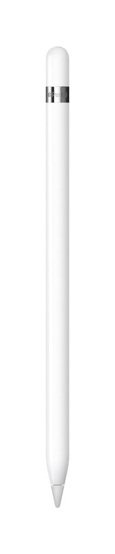Apple Pencil (1st Gen) w/USB-C Adapter